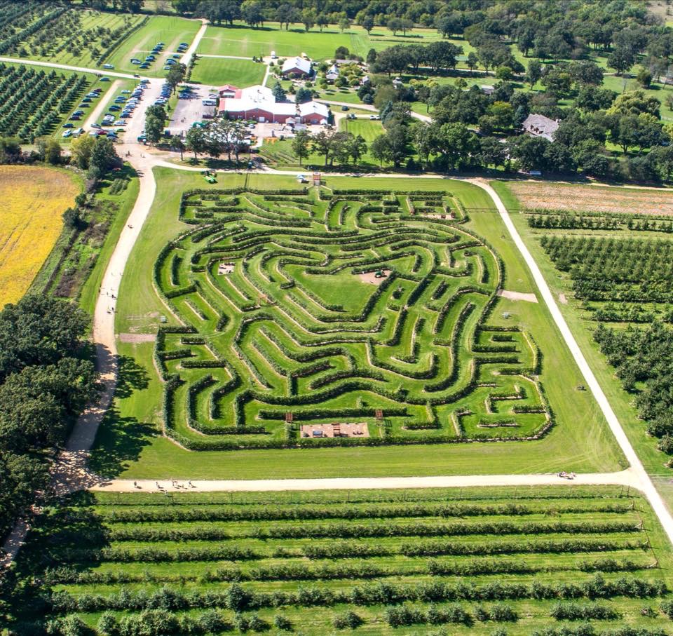 With our Amaze N Apples package, you can splash part of the day away in the waterpark and then venture to Royal Oak Farm to enjoy an apple tree maze. Experience the only orchard in the country with an apple tree maze.
https://t.co/Fz1OFosmPZ https://t.co/VtwsFly3yz