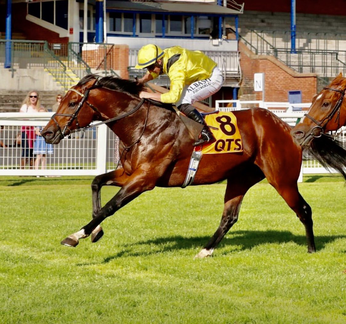 Ayr Gold Cup 🏆🏴󠁧󠁢󠁳󠁣󠁴󠁿 Another incredible Saturday getting a treble up aboard the legend that is Addeybb (Doonside Cup), Nahaarr(Ayr Gold Cup) and Johan all for William Haggas, great job team 😎🏆🏴󠁧󠁢󠁳󠁣󠁴󠁿🏇