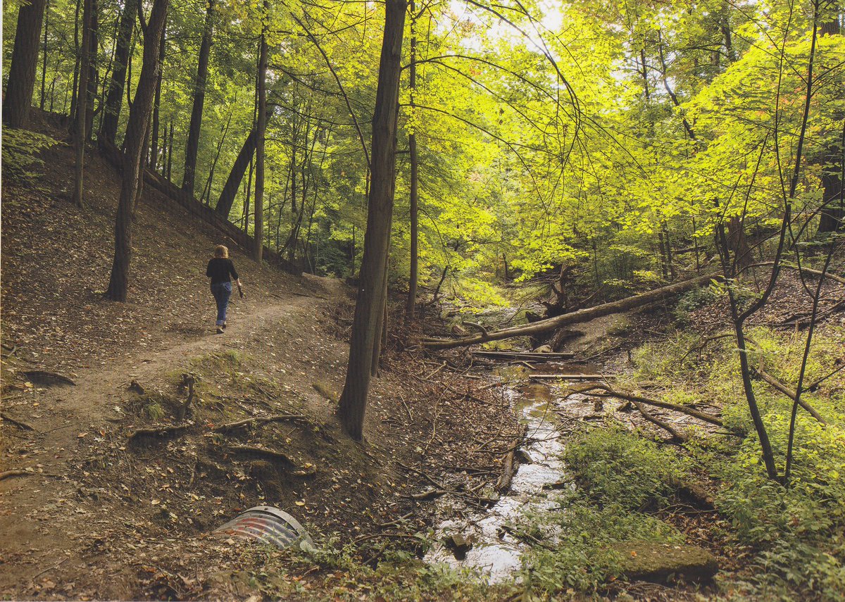 Williamson park ravine. Entrance on Gerrard east of Coxwell. Short half km walk but sweet. Smalls creek runs through it.