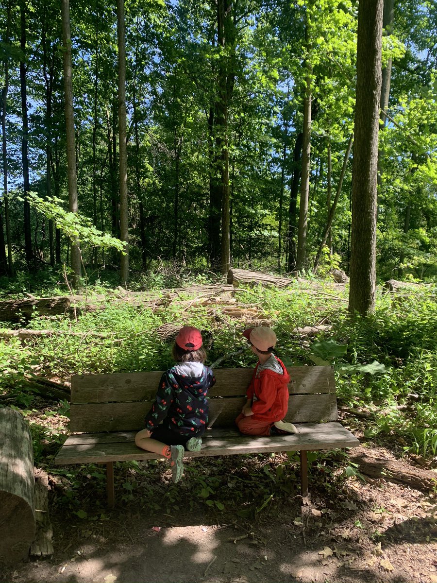 Bronte Creek Provincial park in Oakville. Lots of pretty and easy 1-3 km forest trails.