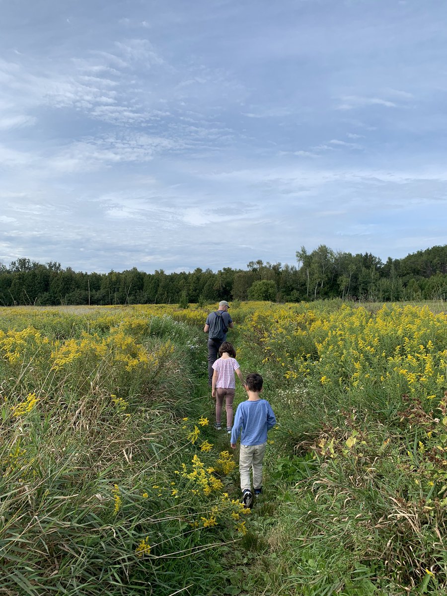 Rouge national park. Specifically Coyote trail. One of the MOST magical trails we visited this summer. Near Uxbridge, northern point of the park. Kids even commented on how pretty it was. It had everything in a short 3 km loop.