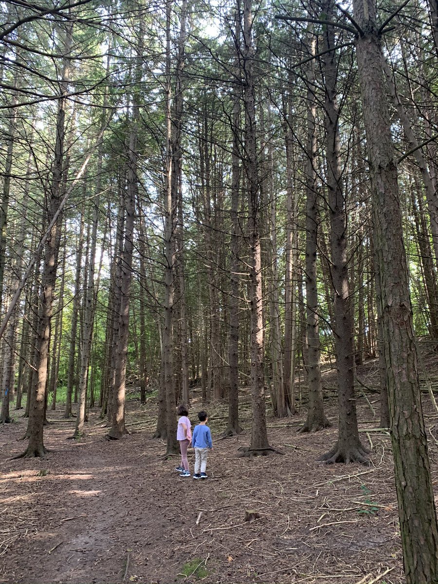 Rouge national park. Specifically Coyote trail. One of the MOST magical trails we visited this summer. Near Uxbridge, northern point of the park. Kids even commented on how pretty it was. It had everything in a short 3 km loop.