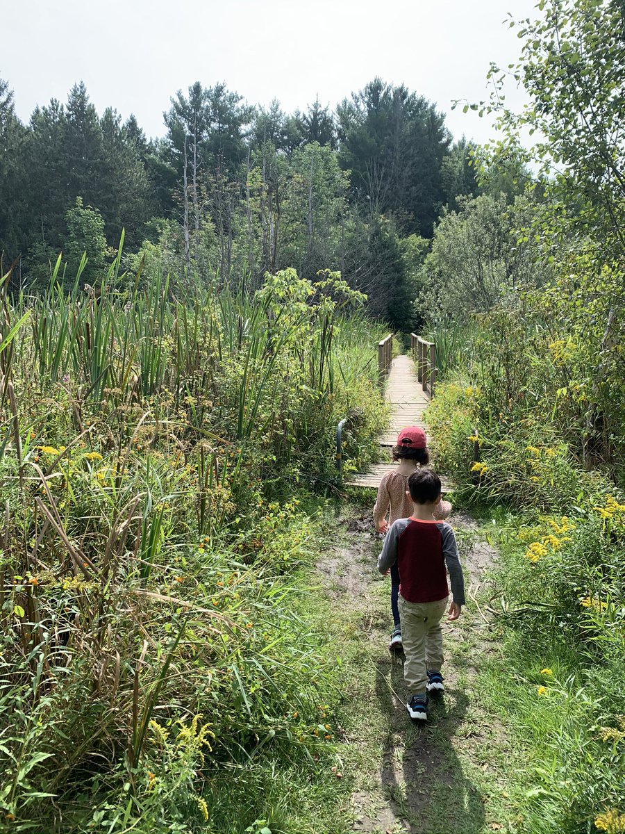 Kortright conservation area. In Vaughan. Also needs a reservation  https://kortright.org/ . Lots of pretty and short hikes. Learned the difference between different types of wetlands here.