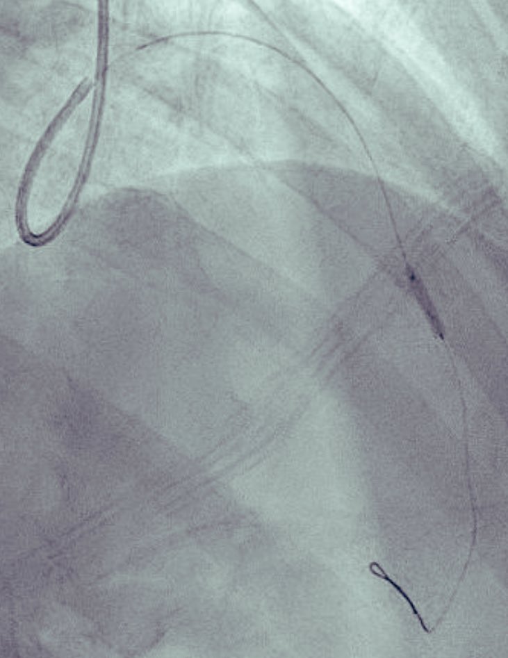 Alex Truesdell tweet media