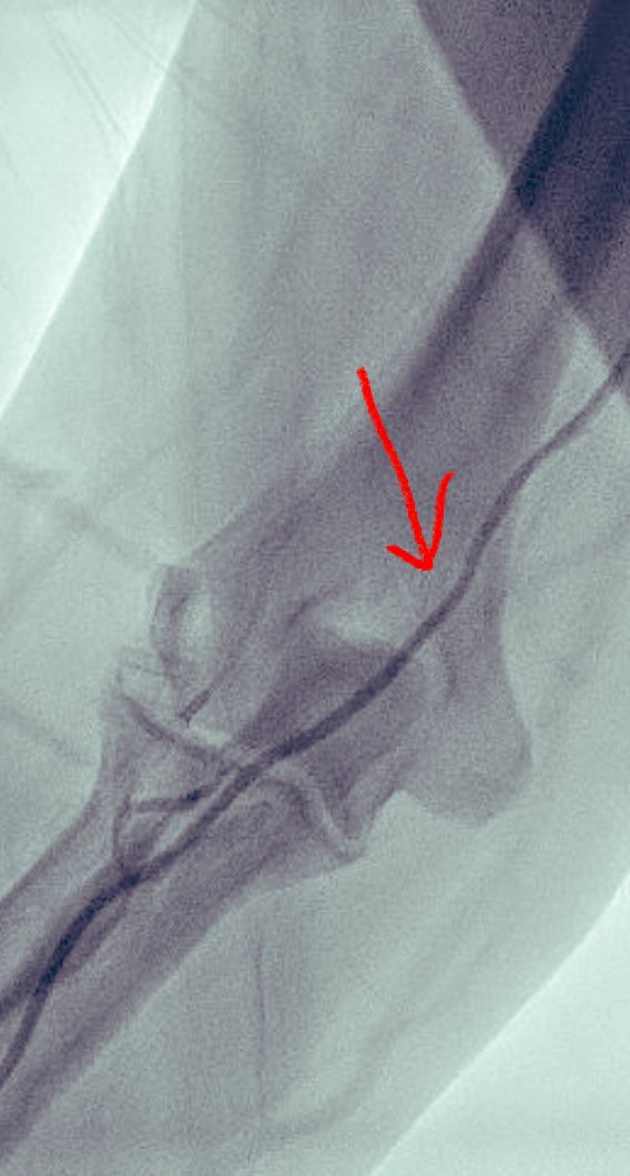 Alex Truesdell tweet media