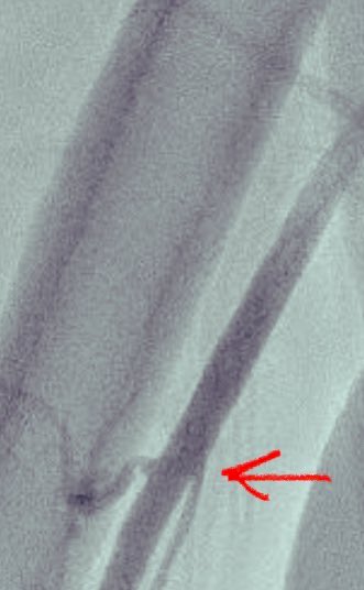 Alex Truesdell tweet media