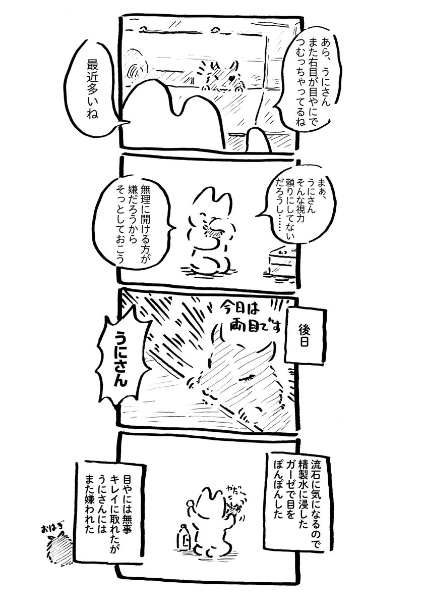 うにさんと私76  #うにさんと私 #創作漫画 #エッセイ漫画 