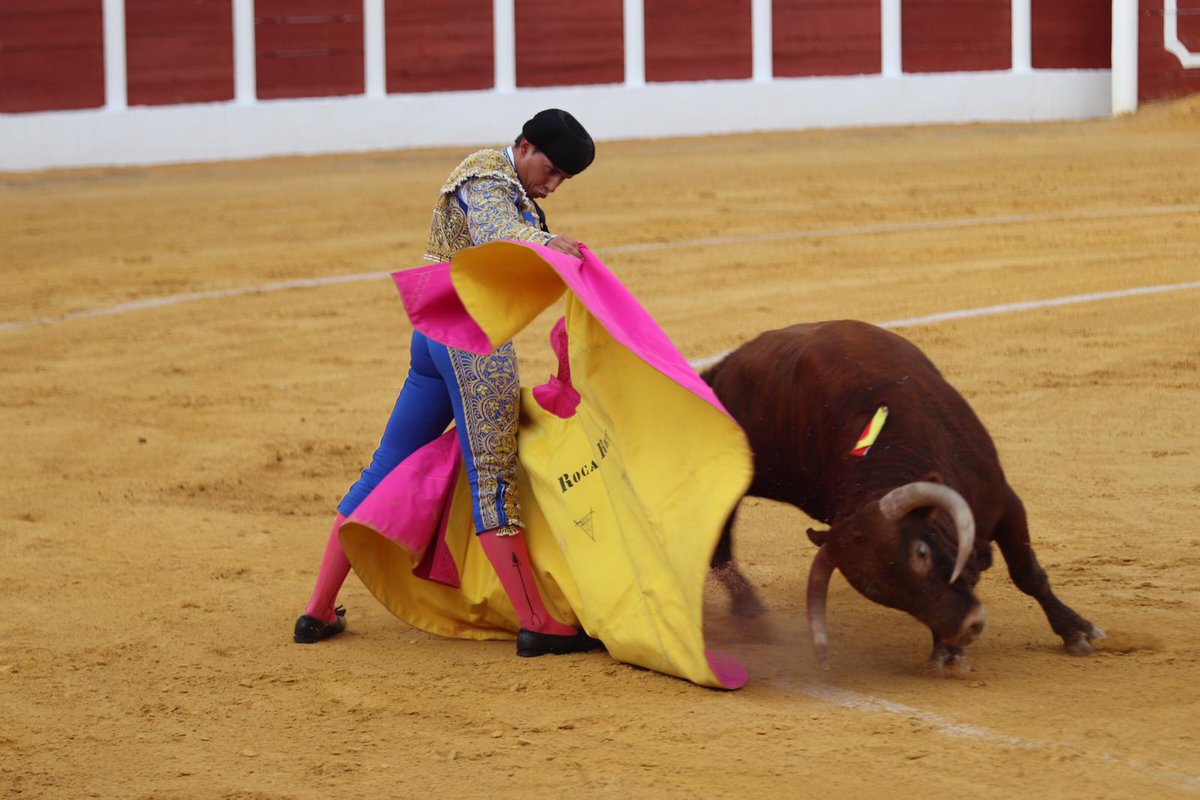 Circuito de Novilladas de Andalucía tweet media