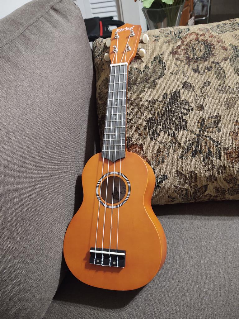GodlessGuns's tweet photo. Mom heard me strumming her ukulele and started shuffling around her bedroom to find her tuner. By the time she reached the living room with it, I'd already tuned this thing by ear. #RealMusician #PerfectPitch #BeImpressed https://t.co/sYTf2E7MEp