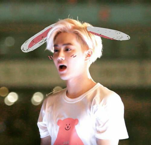 If you like bunnies, open this thread (it& #39;s all safe ;)