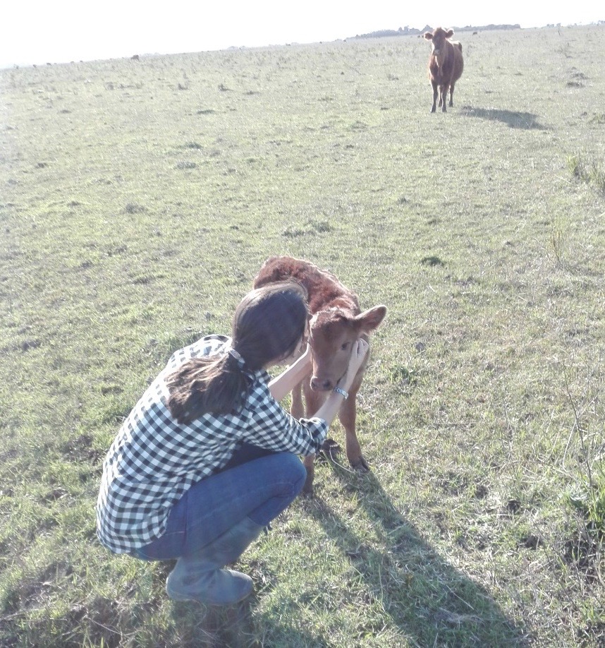 CampominadoAM's tweet photo. Ya al aire!
🏇 Escuchá a la #jinete de Campo Minado 🏇
@JulietaToffo 
Julieta Toffoletti, Ingeniera Agrónoma y fundadora de Agrónomas Argentinas, un red de mujeres profesionales del agro, emprendedoras y apasionadas por el campo. 
👉 @agronomas_arg 👈 https://t.co/uepAKGcAAO
