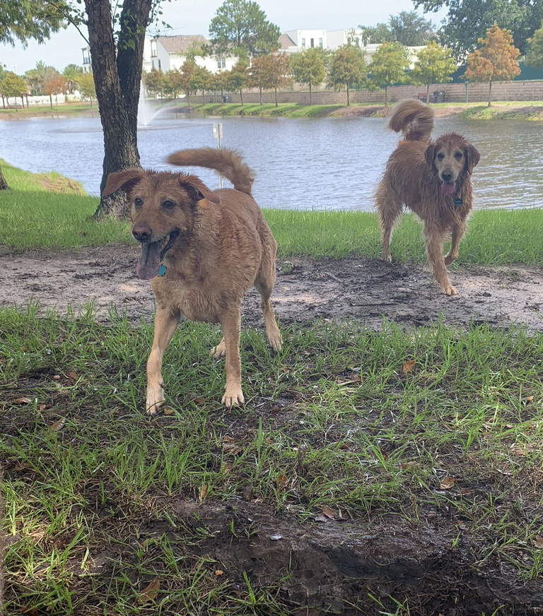 Swimming is the BEST! 
#CareCreditSweepstakes