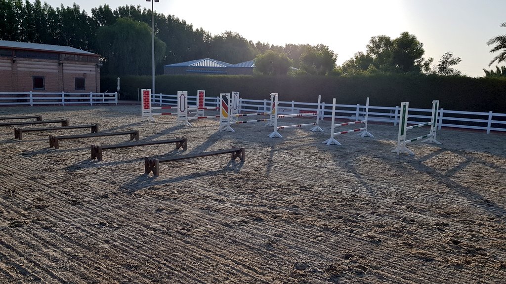 Anitasande00's tweet photo. Saddle testing,showtime at Sharjahclub,training at elite stable, i like to be busy.💪
And last but not least, receive such a wonderful cake put the finish touch, and made our day complete ❤🙏
#uaeu #mydubai #longines #LoveStory 
#norwegian #eqyptian #training #asaddle #saddle https://t.co/Dis0NvHASa
