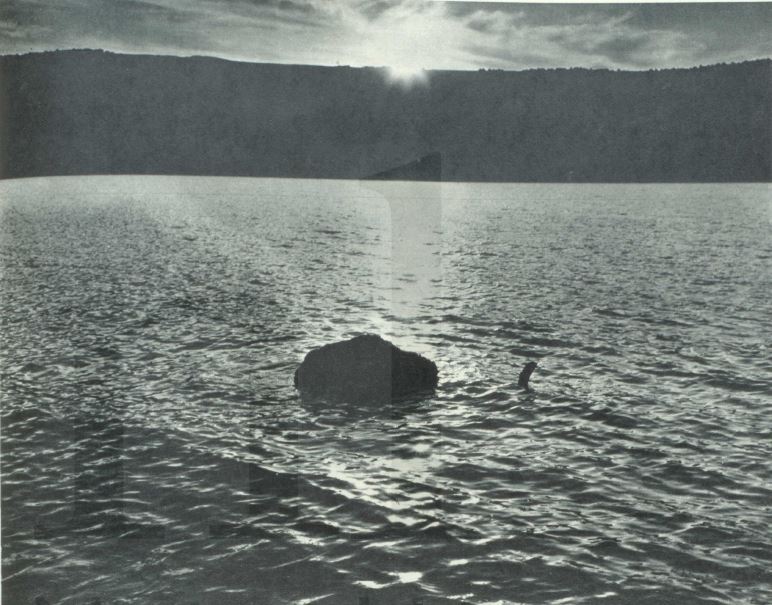 Burton’s argument was that O’Connor had used the stones to weight down a large plastic bag tied with string, and he produced a photo of his own to show show it could be done. Burton’s photo doesn’t, actually, much resemble what’s in O’Connor’s, but ho hum…  #Nessie  #LochNess