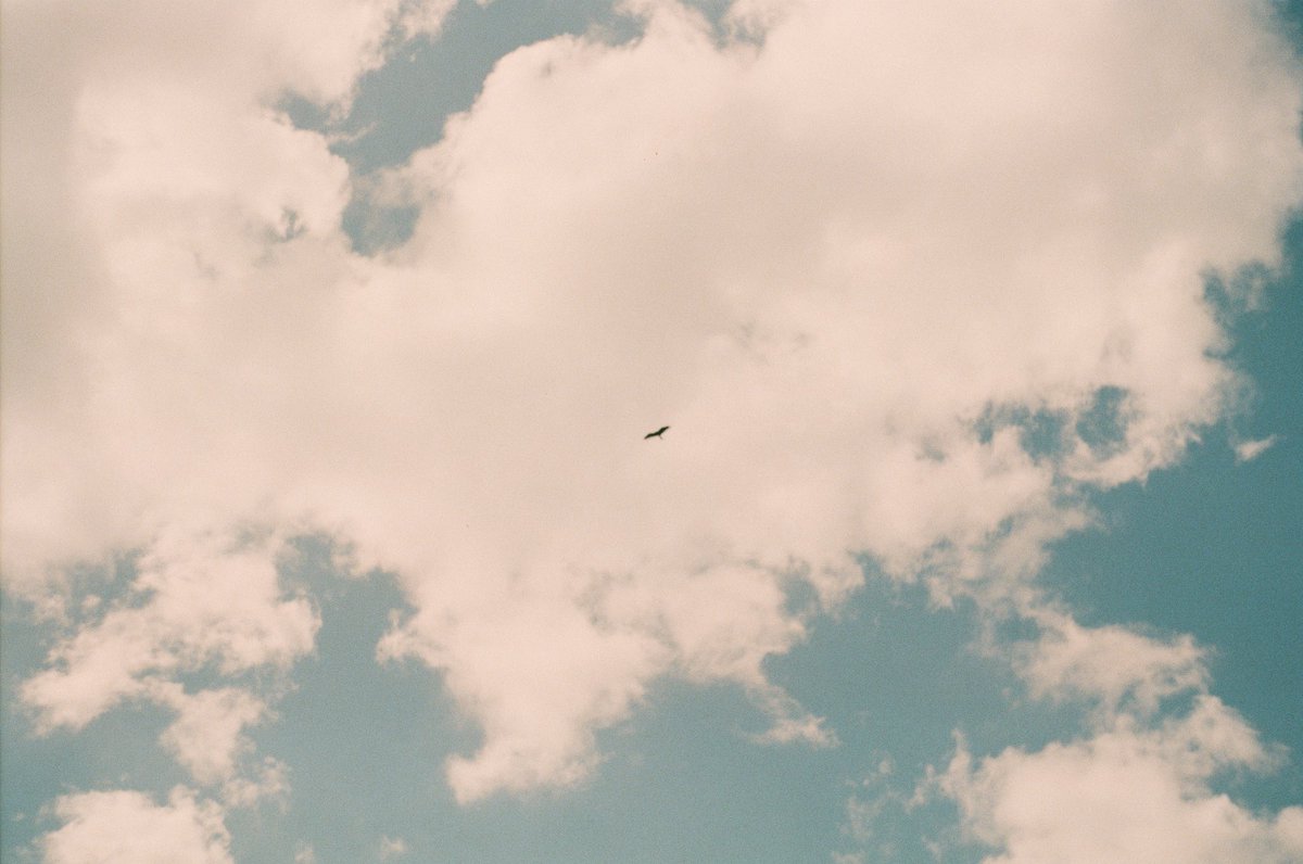 stephen_perse's tweet photo. ☁️☁️ https://t.co/Jc3XdY1ASw