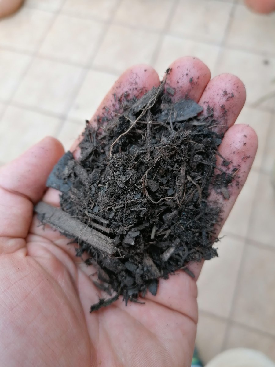 If you're planting them into bigger pots you're probably going to use commercial potting soil, which is mostly partially composted pine bark I'll be honest this stuff isn't the greatest, because it dries out very quickly. Just water regularly 