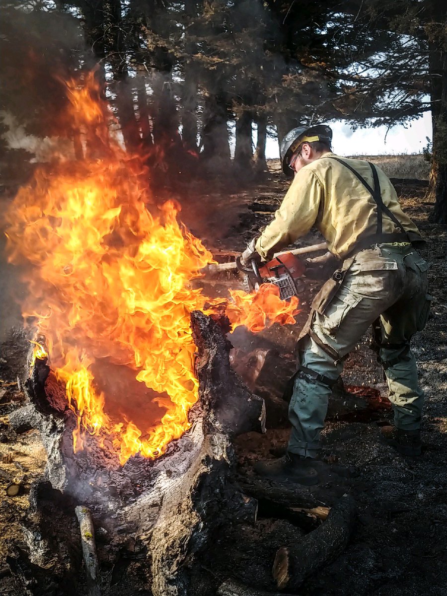 UtahCountyFD's tweet image. There is little rest for the saw teams with the current fires. #ucfd @STIHLUSA @UCSO