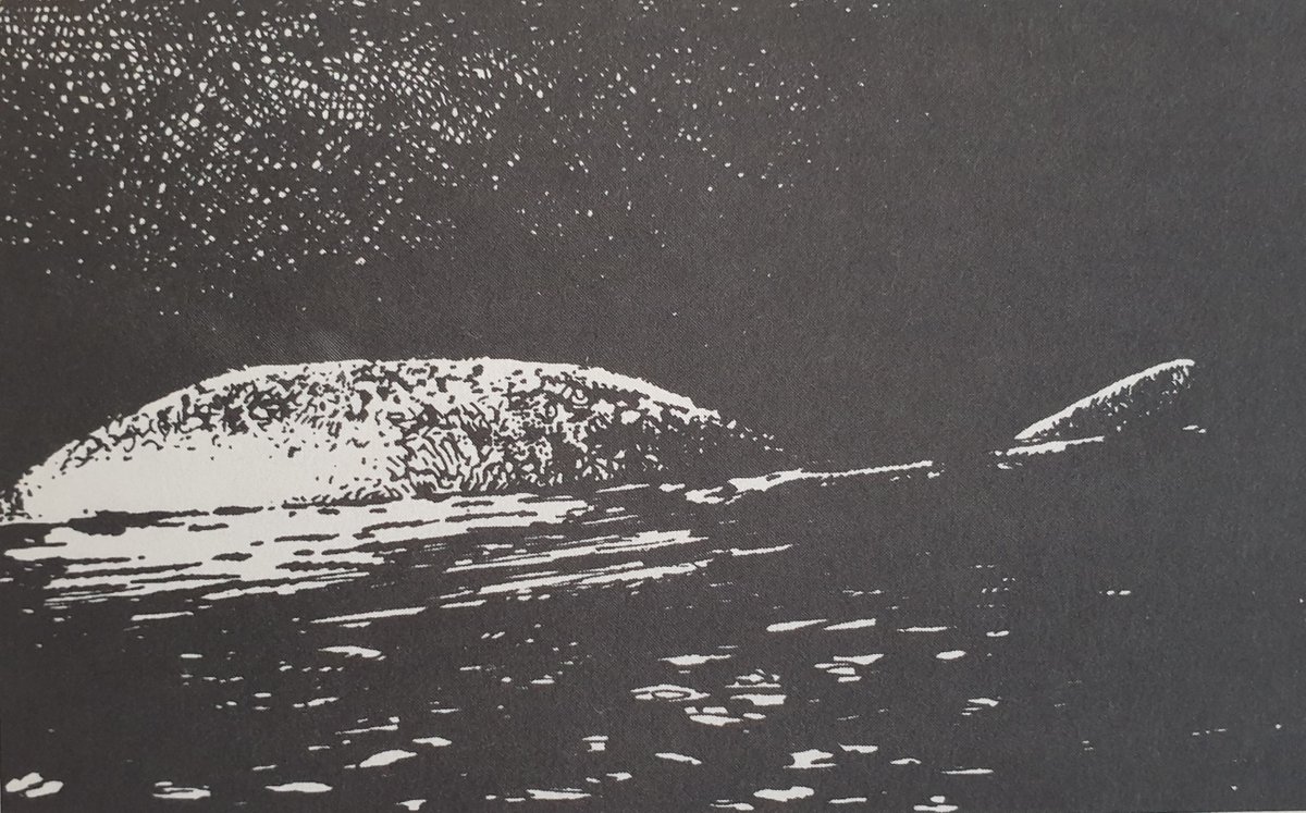 ... even to pro-Nessie authors of recent years – here’s the drawing which Henry Bauer had to use in 1986…