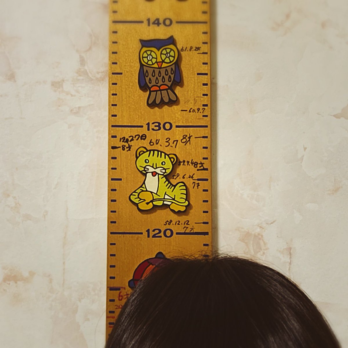 身長制限 身長制限
