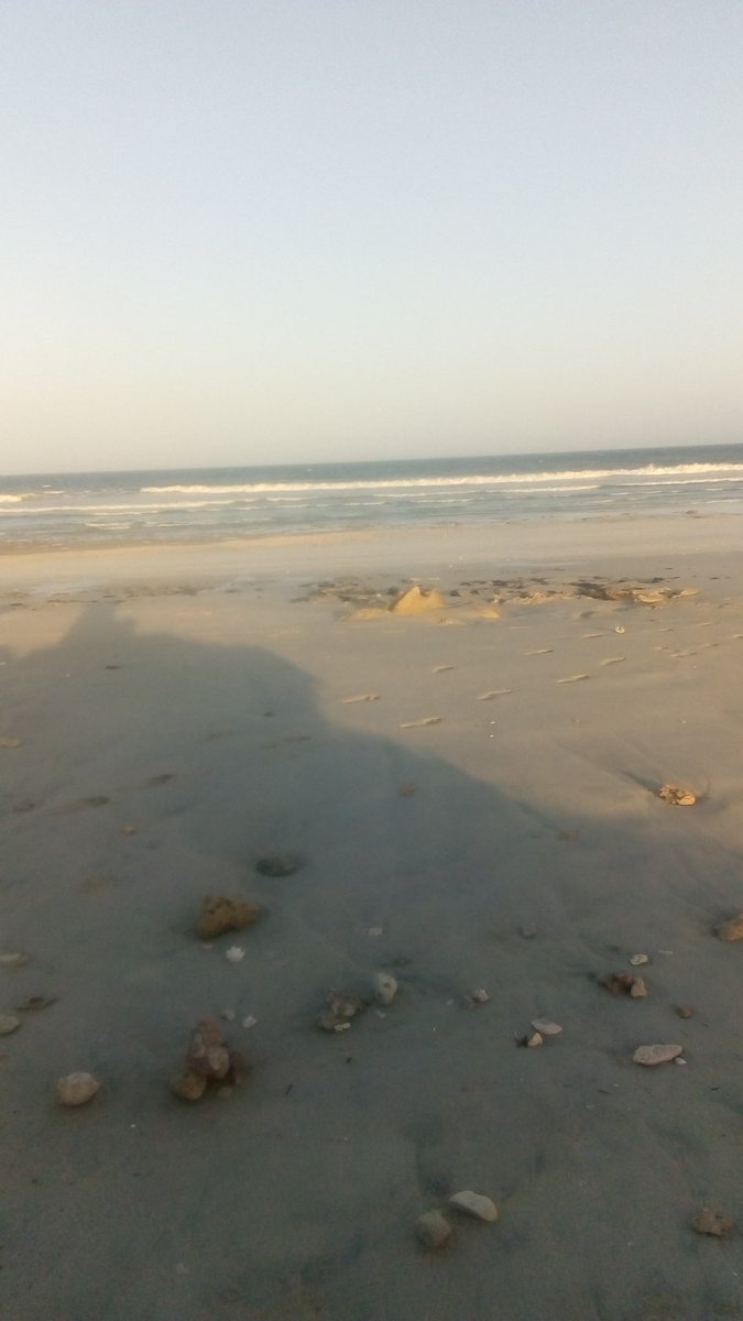 واه بحرنا يتحرك 🙄
#مساء_الخير