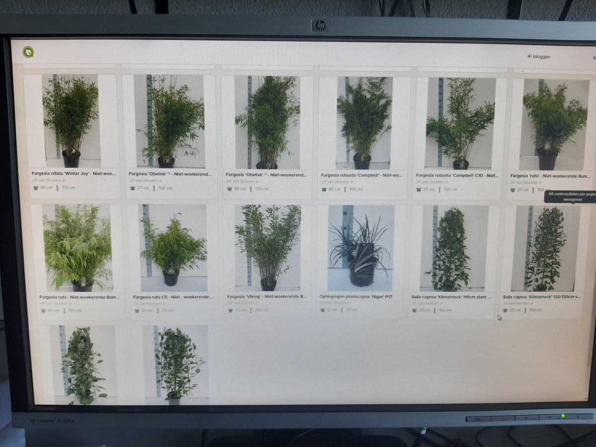 Zaterdag fotodag! @FloraXchange <a href="/Floridayio/">Floriday_io</a> 
Al het aanbod weer online, wilt u hiervan op de hoogte gehouden worden, schrijf u dan in voor onze nieuwsbrief op eepurl.com/gFWhjn
Uiteraard wordt een telefoontje of bezoek aan onze kwekerij nog altijd zeer gewaardeerd!! 🙂