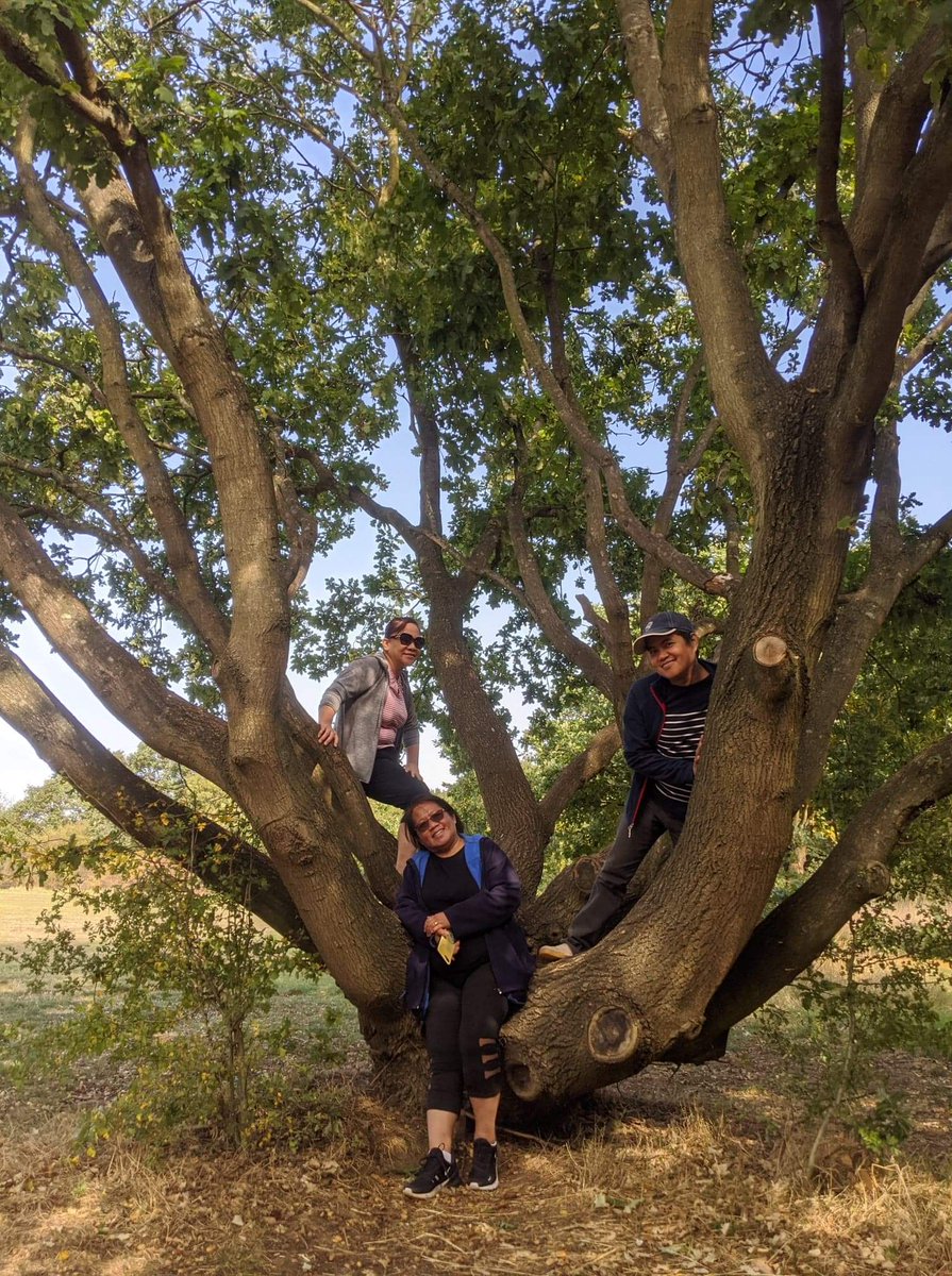 JoAlexa16's tweet photo. I'm keeping my promise to stay active 👍 I'm even climbing trees 😊
#nursesactive 
@AVillagracia 
@SalangsangAbel 
@LuciaRe27876846 https://t.co/3eRiD39M1j