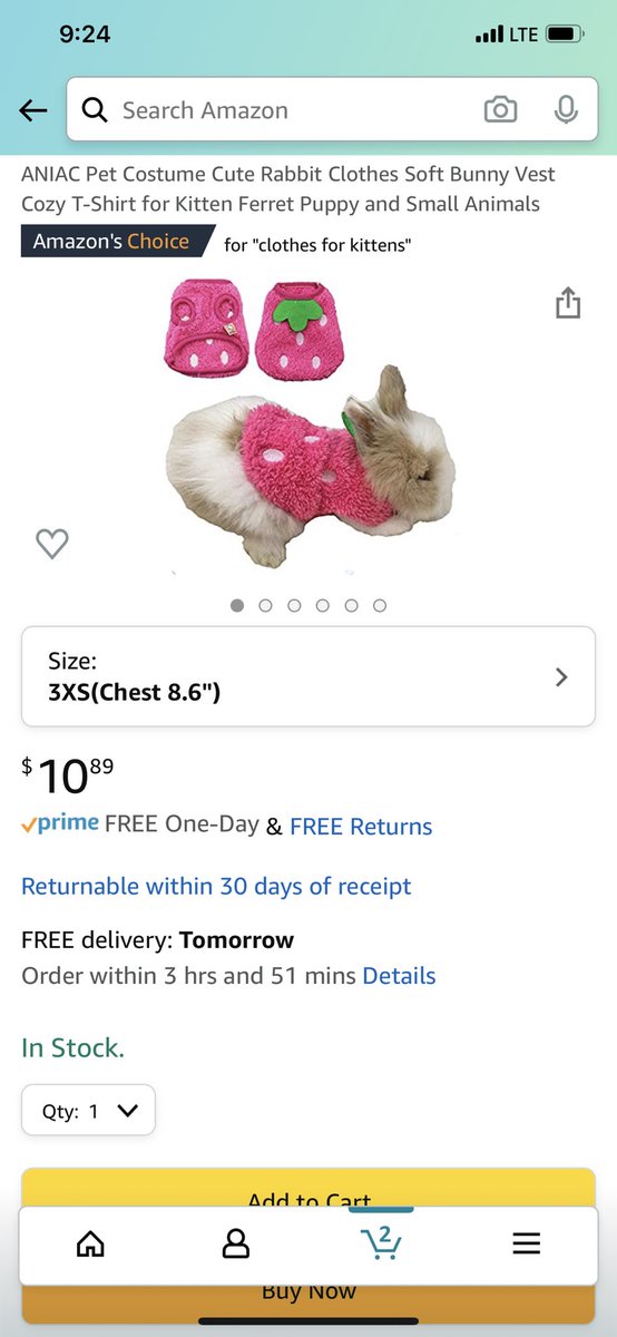 kinqueennn's tweet photo. Can someone please cover that “Strawberry Blonde” somg by Mitski but make it “Strawberry Ferret” because I just ordered the cutest little strawberry sweater for my ferret and I got some cowboy hats for her that I’m going to paint pink with strawberries please https://t.co/9gcldt89ZK