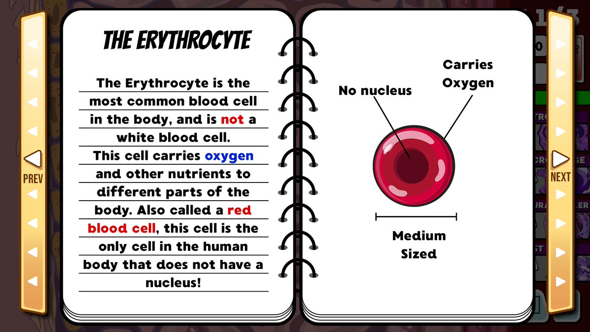 InfxnDefense's tweet photo. What does an #erythrocyte do? 

An erythrocyte is also known as a #RedBloodCell Red blood cells carry oxygen throughout your body. You can read about the erythrocyte or any other #WhiteBloodCell in the medical handbook!

#InfectionDefense comes out soon in beta!
#knowledge #game https://t.co/t43ZlsxLzN