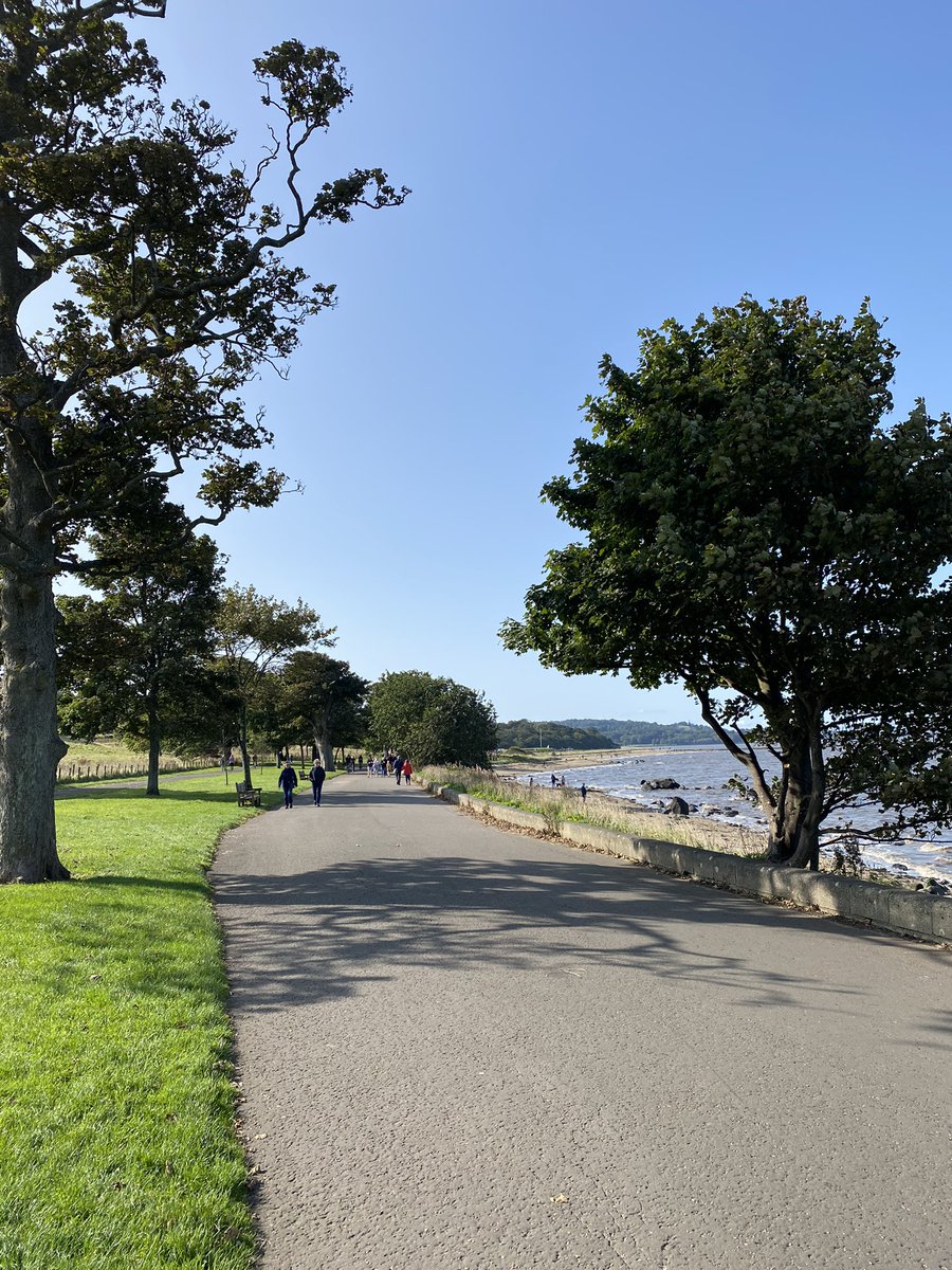 Stevenson Massage 👐 tweet media