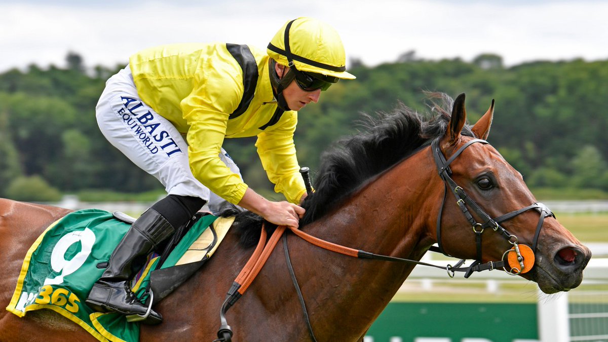 Racing Post tweet media