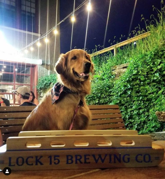 Lock 15 Brewing tweet media