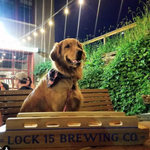 Photo by Lock 15 Brewing (@Lock15Brewing)