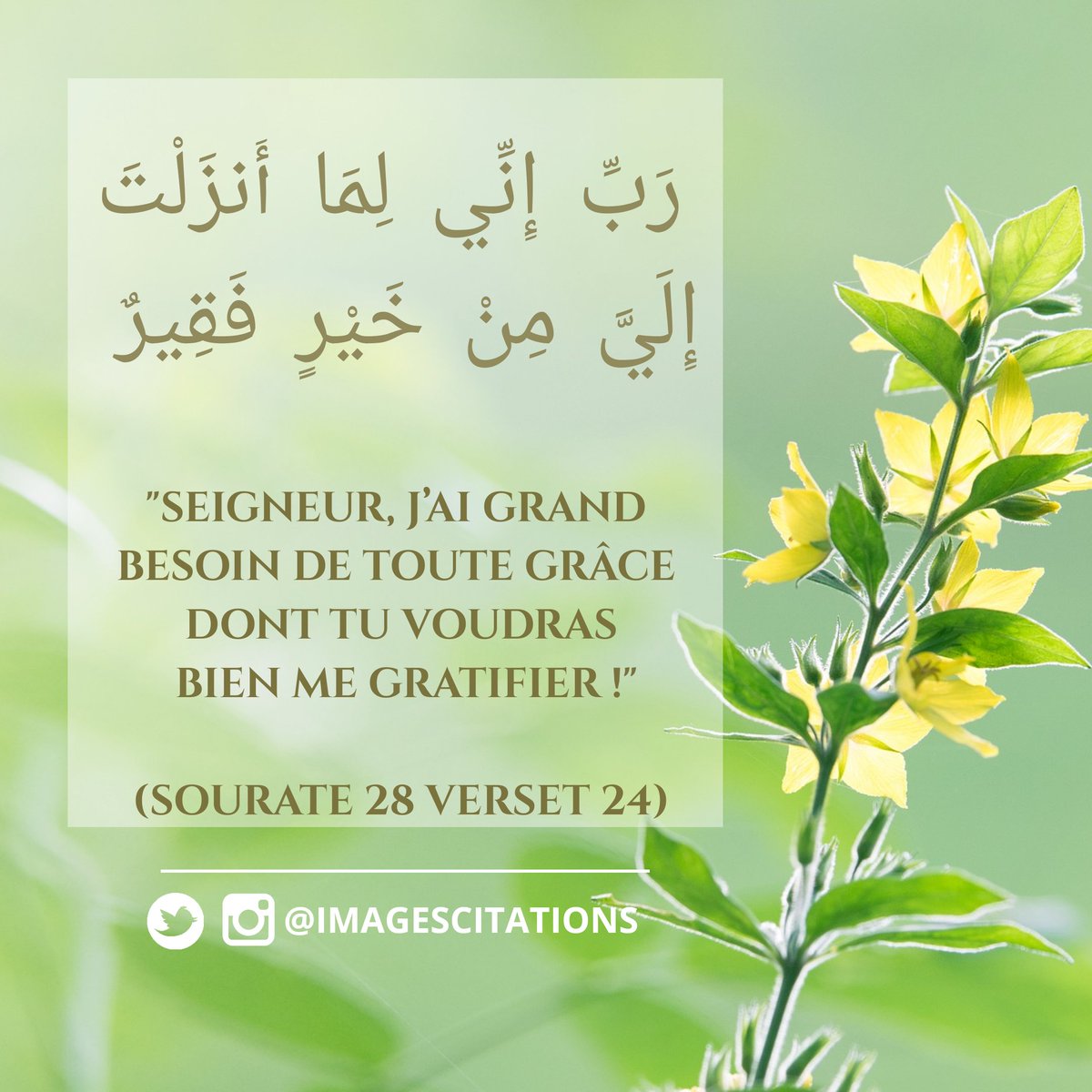 ImagesCitations's tweet photo. 🤲 Invocation de Moussa 3alayhi salam mentionné dans le Qoran 🌹
#islam #muslim #muslimah #islamicsaying #islamicposts https://t.co/MiX7z6PsQs