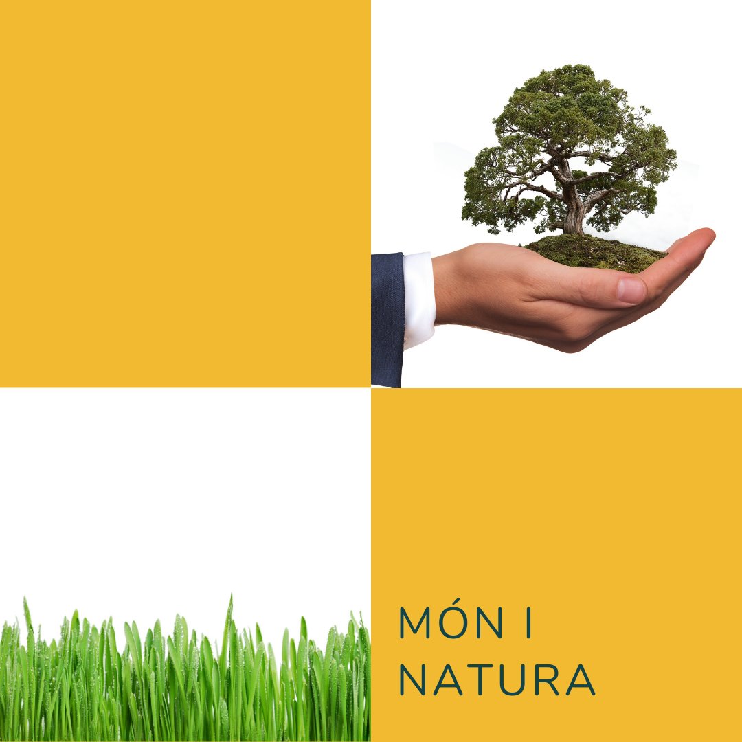 socdeponent's tweet photo. Matrícula oberta mes de setembre als cursos d'especialista universitari en: Món i Natura; Salut i Benestar;
https://t.co/8vHXiPPUXh
#udl #seniorudl #programaseniorudl #senior #pum https://t.co/eDTs0ZpL5c