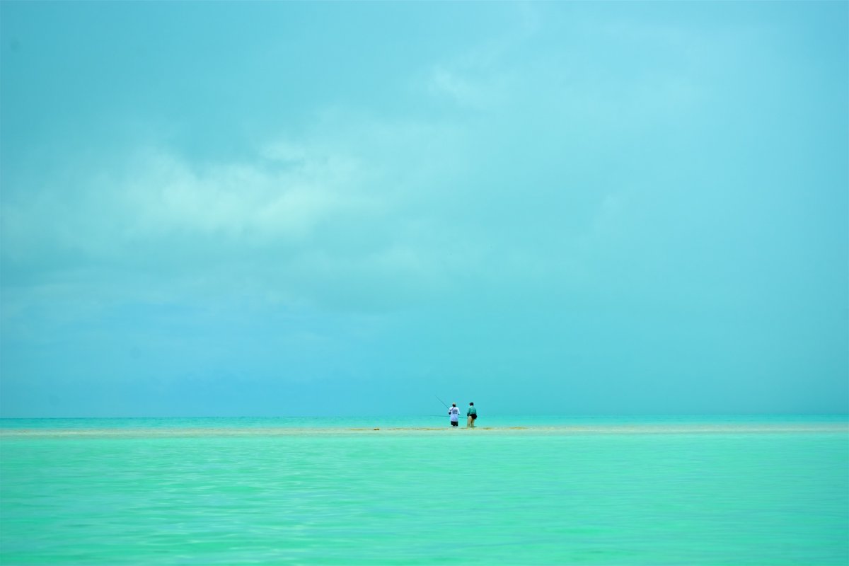 FishChristmas's tweet photo. Miles from nowhere and right in the middle of it. Christmas Island, Republic of Kiribati. @fishchristmasisland #patagonia_flyfish #sageflyfishing #flyfishing #bonefish #catchandrelease https://t.co/4REov19s1e