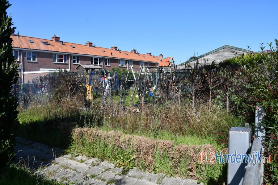 Coniferenhaag in lichterlaaie aan de Kopakker in #Biddinghuizen. 112Harderwijk.