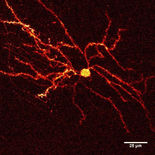 Shulan Xiao tweet media