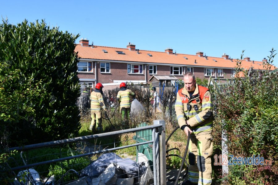 Coniferenhaag in lichterlaaie aan de Kopakker in #Biddinghuizen. 112Zeewolde.