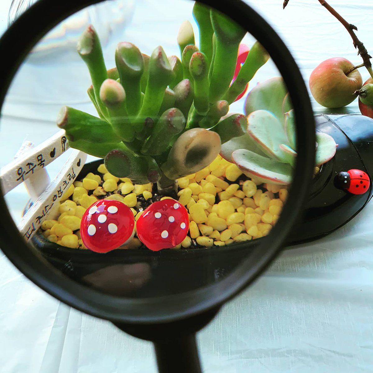 promenade0905's tweet image. #수원단기청소년쉼터
다육고무신 만들어다 드려야 해서~~뚝딱!
제가 만들어도 재밌네요~~넬솔의 촉감도 좋고요 #넬솔아트 #다육아트 #피치스앤크림 #우주목