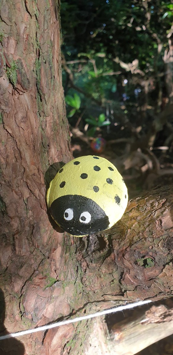 Bellahouston Park Fairy Trail tweet media