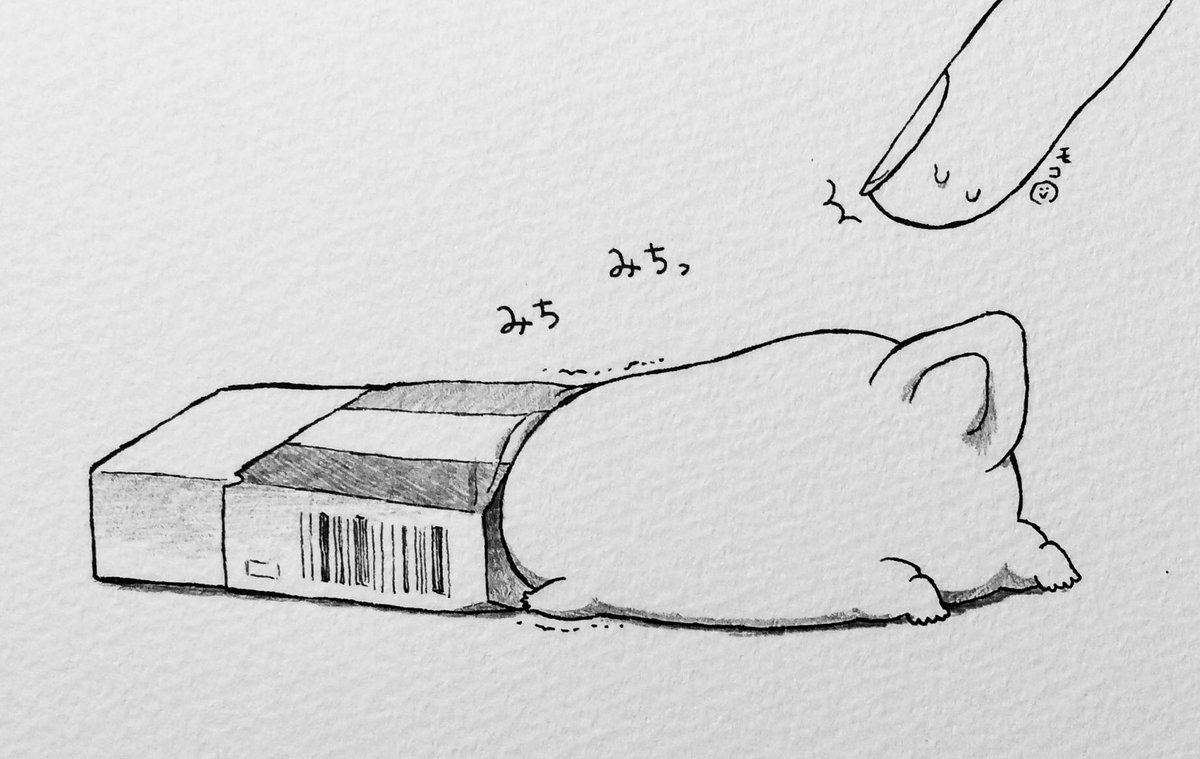 オオサンショウウオ アトラクションになる モコ オオサンショウウオ漫画更新中です の漫画 オオサンショウウオ アトラクションになる モコ オオサンショウウオ漫画更新中です の漫画