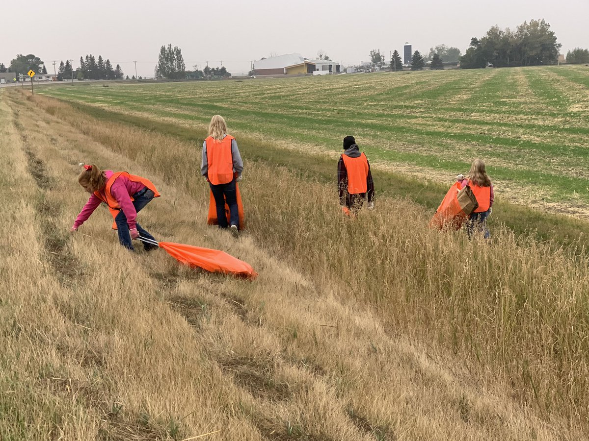 Darcie Serfas tweet media