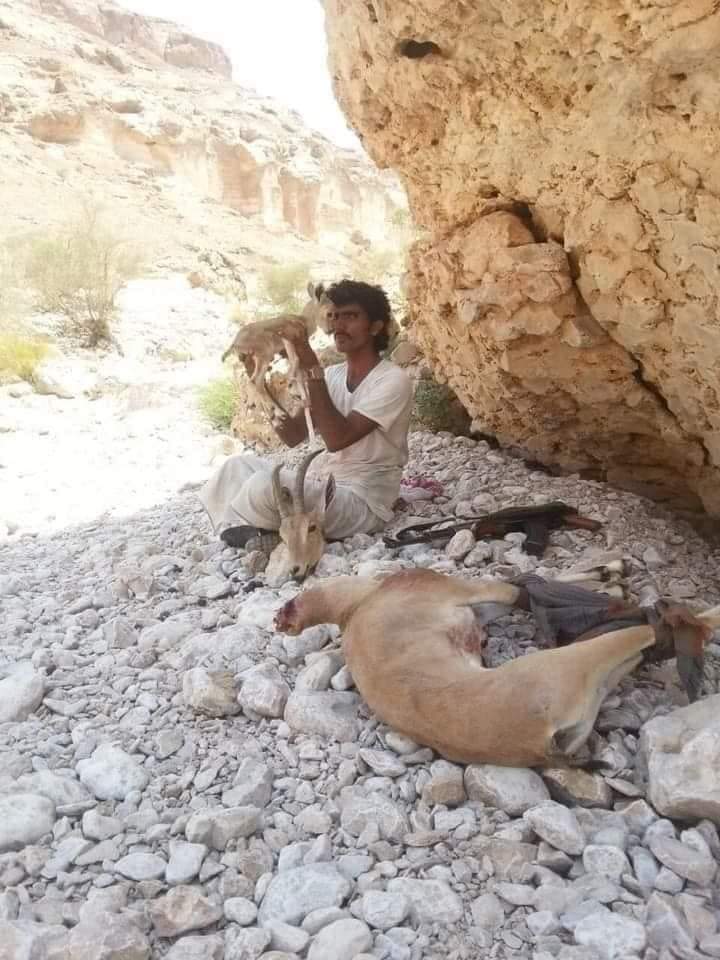 ما اقسى البشر 💔
.
.#هند_القحطاني