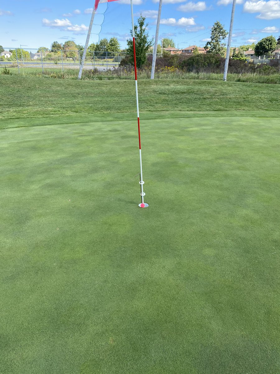 nevernotdana's tweet photo. I chipped it in from this far for the first time in my life waiting on my call from the PGA https://t.co/VVXf55ZTXb