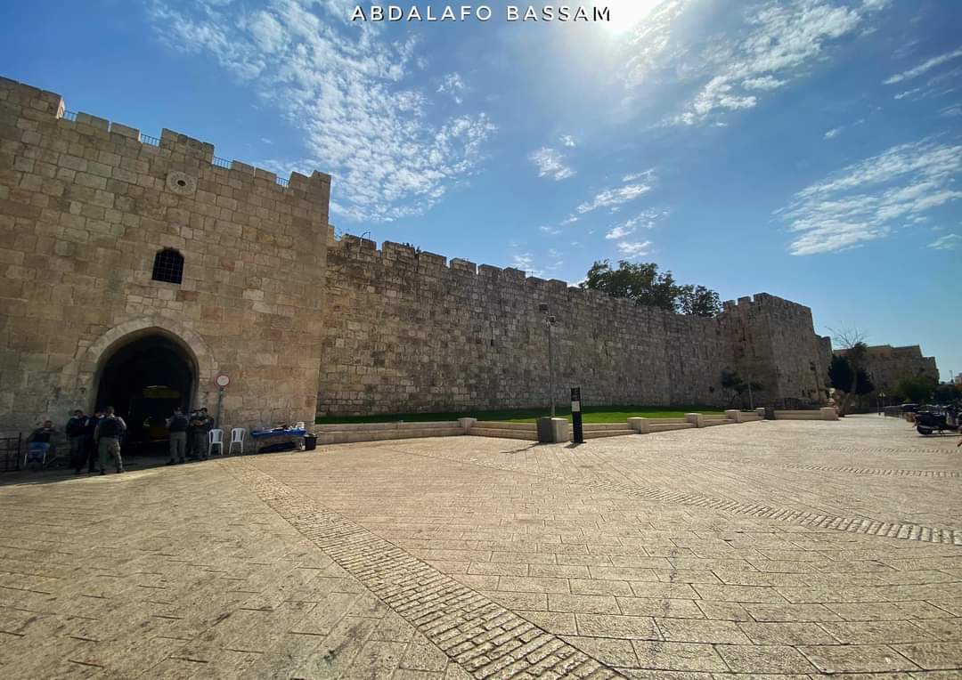 PalinfoAr's tweet photo. البلدة القديمة في #القدس اليوم كما بدت في أول يوم من الإغلاق الشامل الذي أعلنه الاحتلال لمدة 3 أسابيع بسبب الأعياد اليهودية وتفشي وباء كورونا.

تصوير: عبد العفو بسام https://t.co/6tyTj8gsJ2