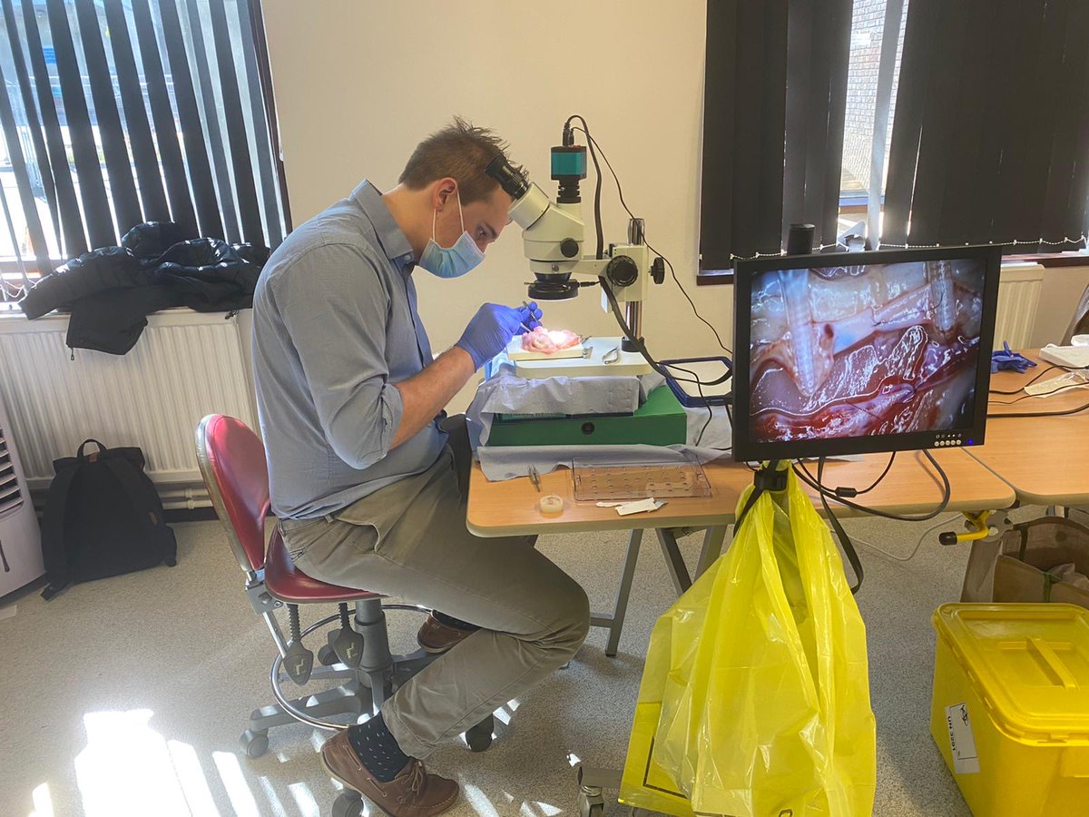 DrJamesKKChan's tweet image. Stoke Mandeville Microsurgery Course - continued

@BHTMedEd @BAPRASvoice @BucksHealthcare #plasticsurgery #microsurgery