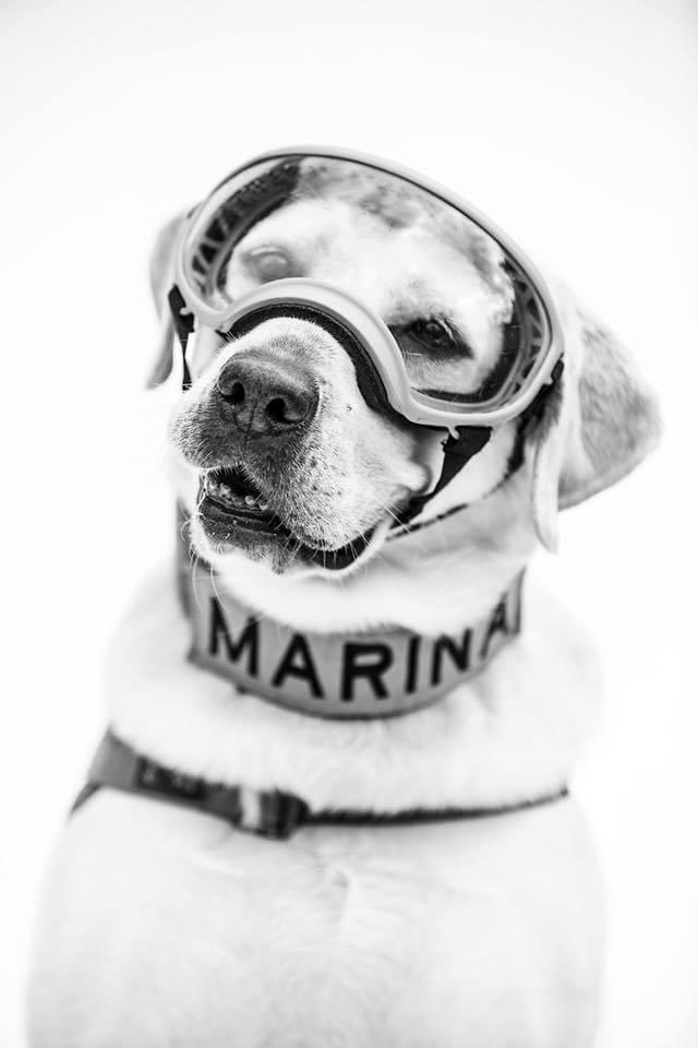 Expansión tweet media