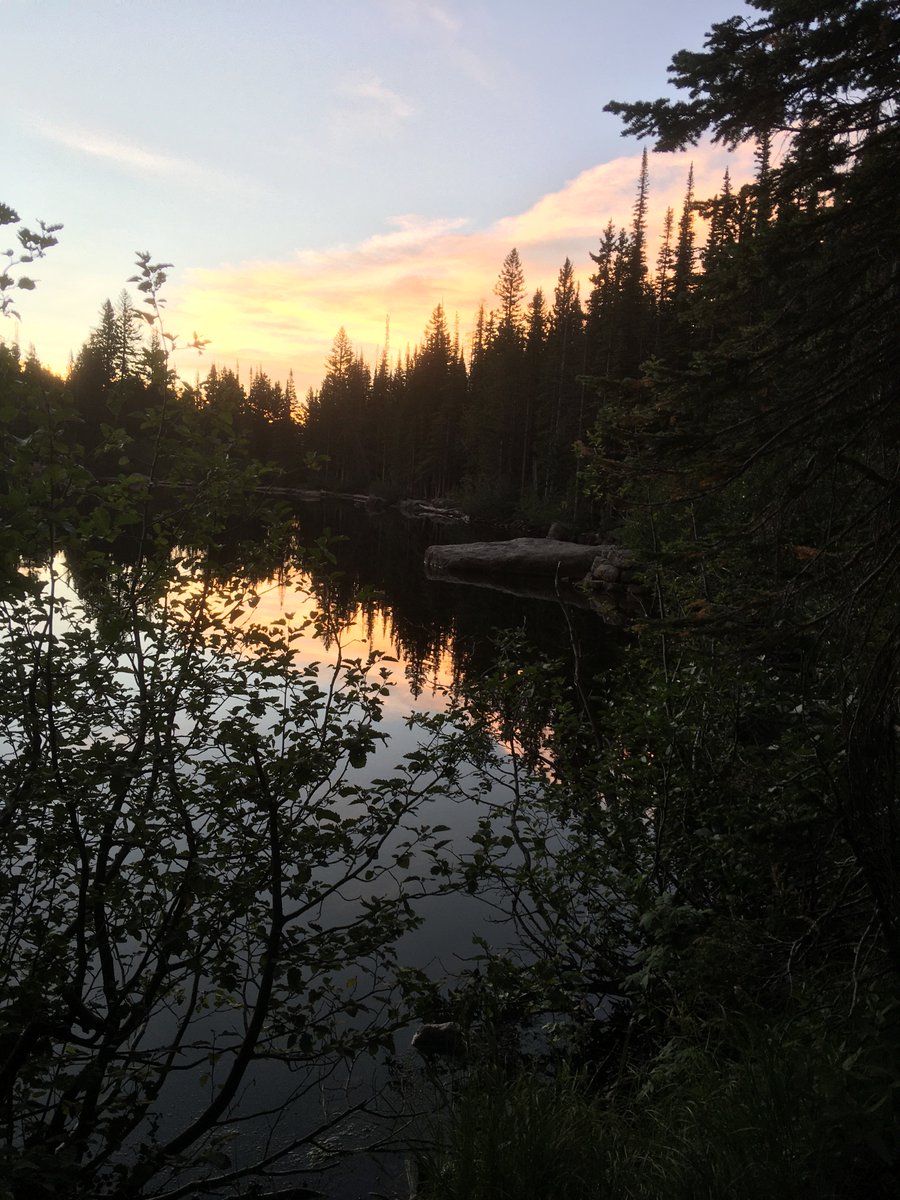 happytrailshike's tweet photo. Have you seen our videos from @rockynps We had the best time camping & exploring! Also, we just applied for the #puregoldceo job to promo @MichelobULTRA new beers and travel to #nationalparks Wish us luck!!!
#nationalparktravel #aframecamping #rockymountainscolorado #findyourpark https://t.co/q5WNfVthad