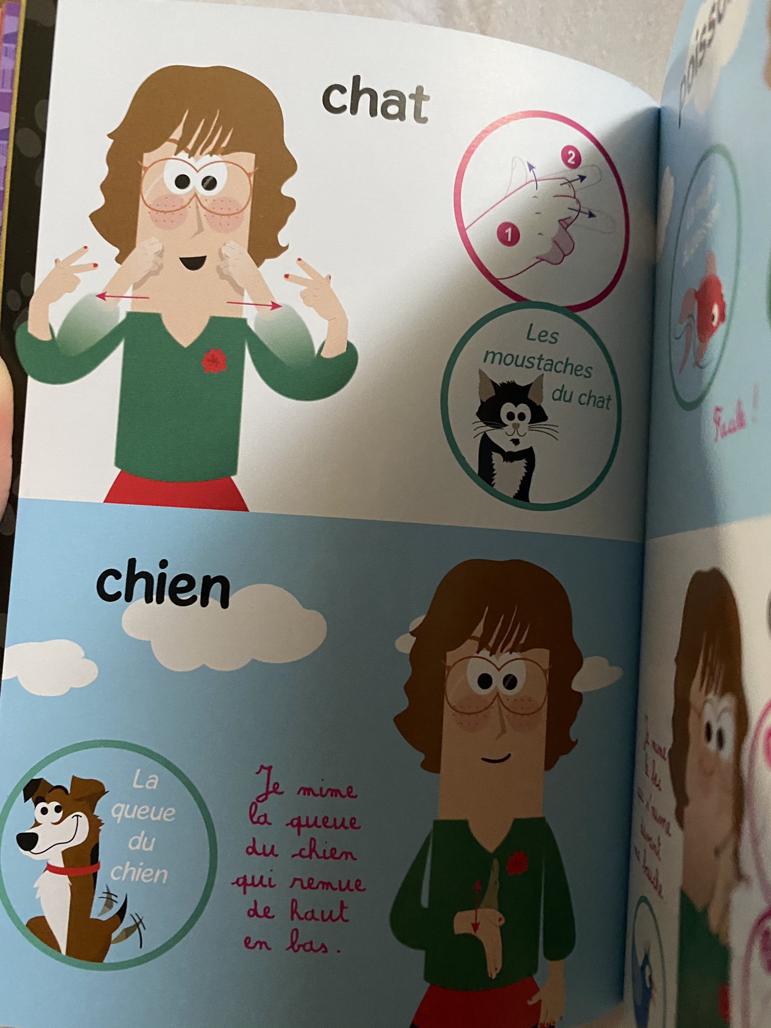 Melaniedeaf J Ai Recu Ce Livre La Langue Des Signes Francaise Pour Les Enfants Je L Ai Feuillete Et J Ai Trouve Ca Super Dans Le Sens Ou Les Images