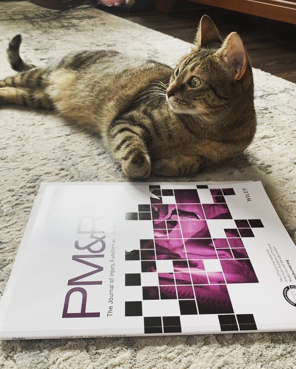 carolinasrehab1's tweet image. Lazy Caturdays spent reading the purple journal...

Model: resident Dr Weider’s cat Nora 🐈

#residencylife #pmrjournal #purplejournal #physiatry #caturdays